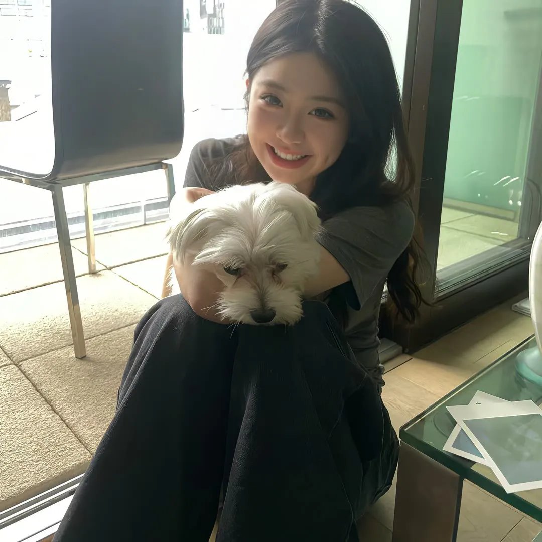 灵狐